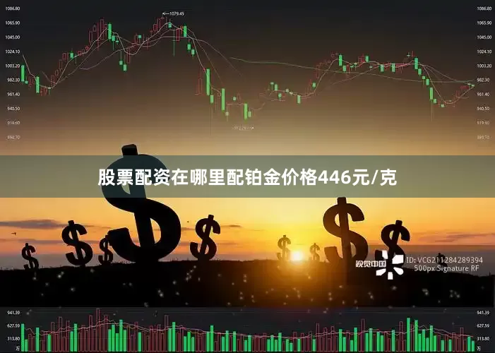 股票配资在哪里配铂金价格446元/克
