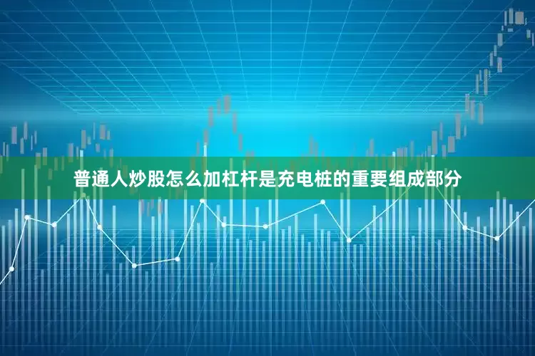 普通人炒股怎么加杠杆是充电桩的重要组成部分