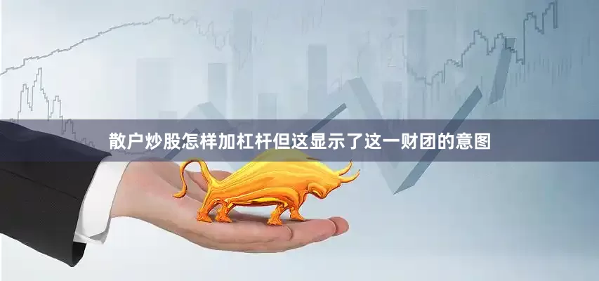 散户炒股怎样加杠杆但这显示了这一财团的意图