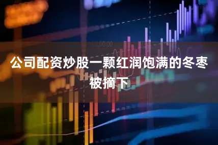 公司配资炒股一颗红润饱满的冬枣被摘下